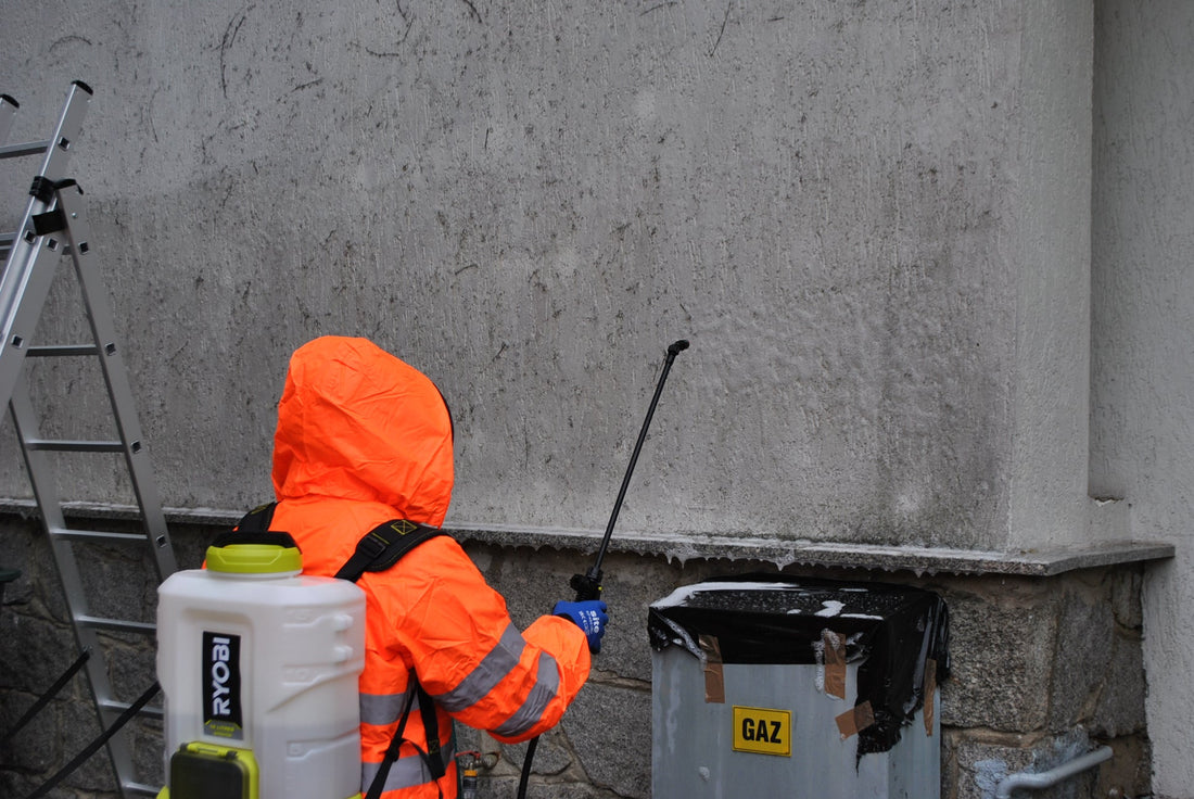 Jak Skutecznie Zwalczać Pleśń na Elewacji – Praktyczny Poradnik